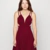 Milly Strap Skater - Cocktailjurk - Wine